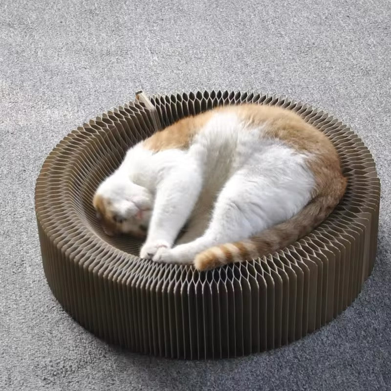 2-in-1 Play And Scratching Bed For Cats