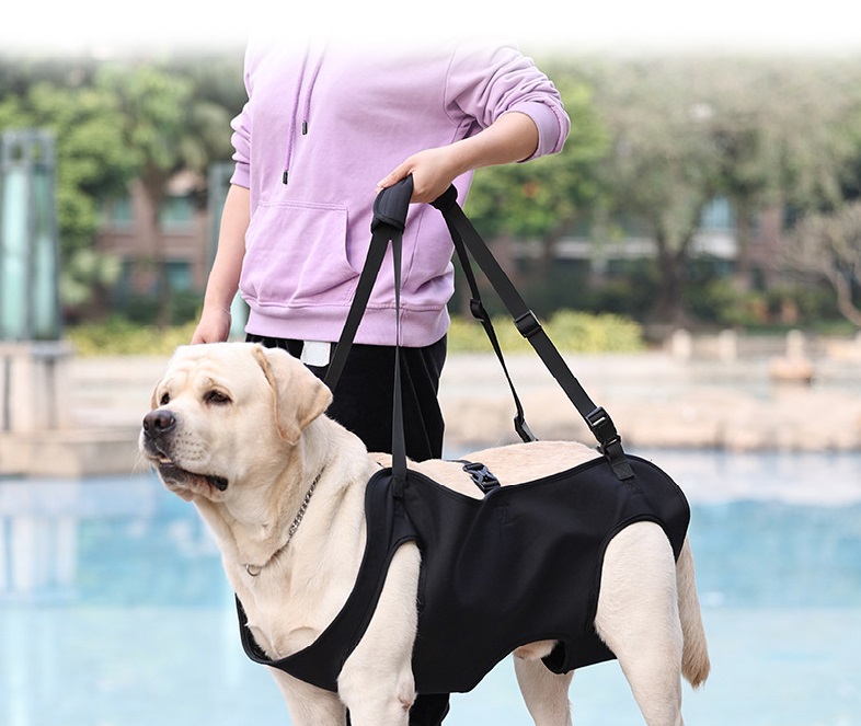 Dog Lift Harness For Large Dogs Sling Dog Walking Assistance Adjustable Pet Support Harness