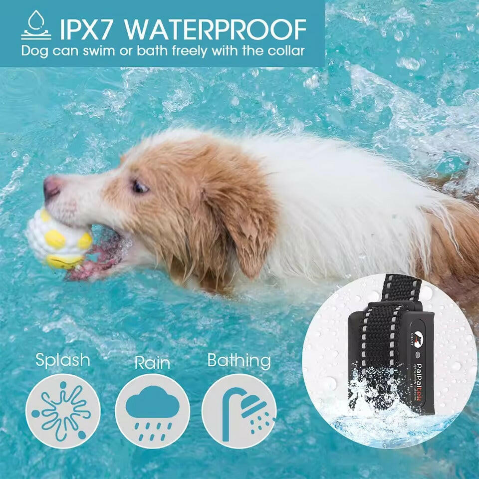 Rechargeable 1000m Waterproof Dog Training Collar