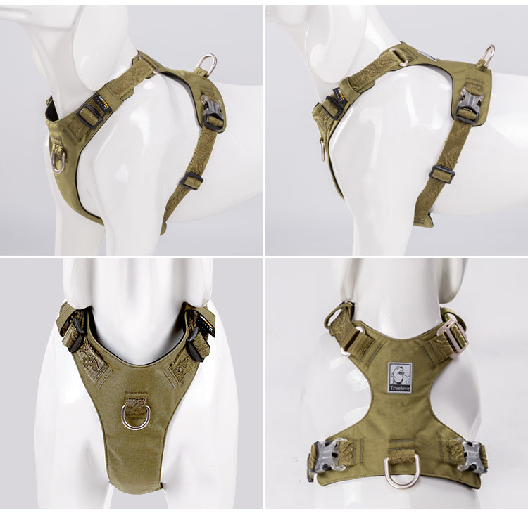 Envy Harness
