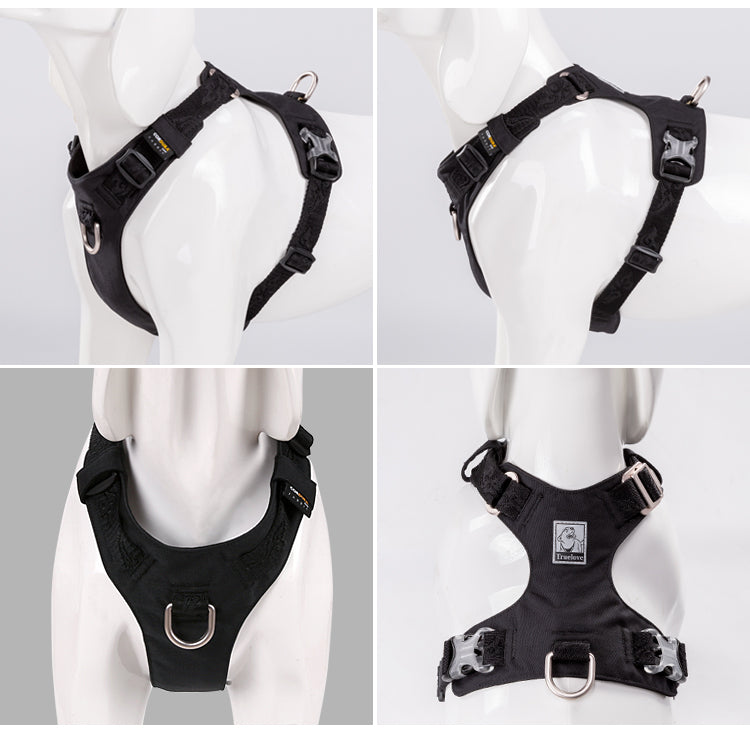 Envy Harness