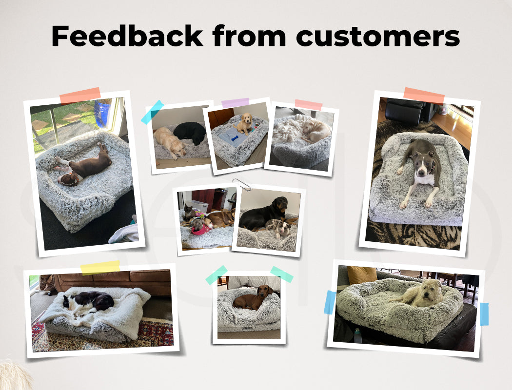  Premium Pet Orthopaedic Bed