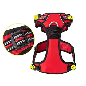 Easy to adjust buckle