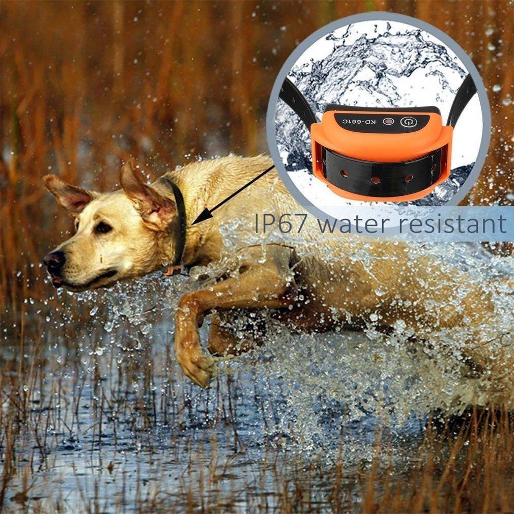 Pet Safe Wireless Electric Dog Fence - Wireless Dog Fence With Shock Collar