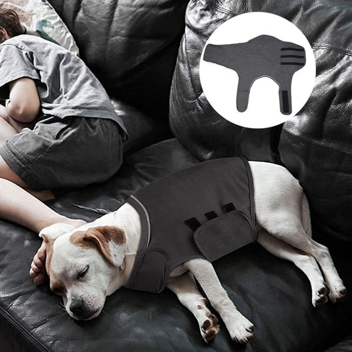 Dog Anxiety Relief Vest for Thunderstorm & Fireworks