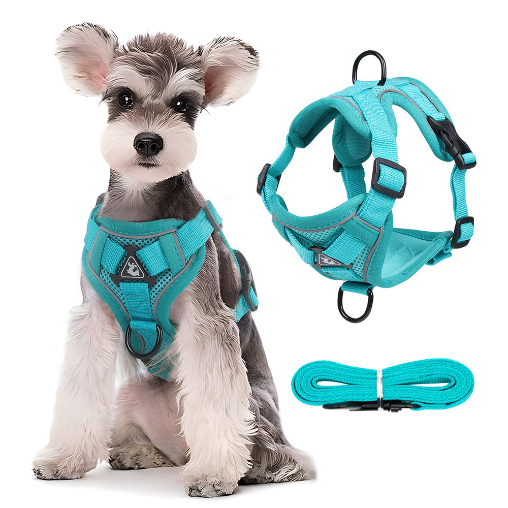 Dog Harness No Pull, Adjustable Puppy Harness with 2 Leash Clips