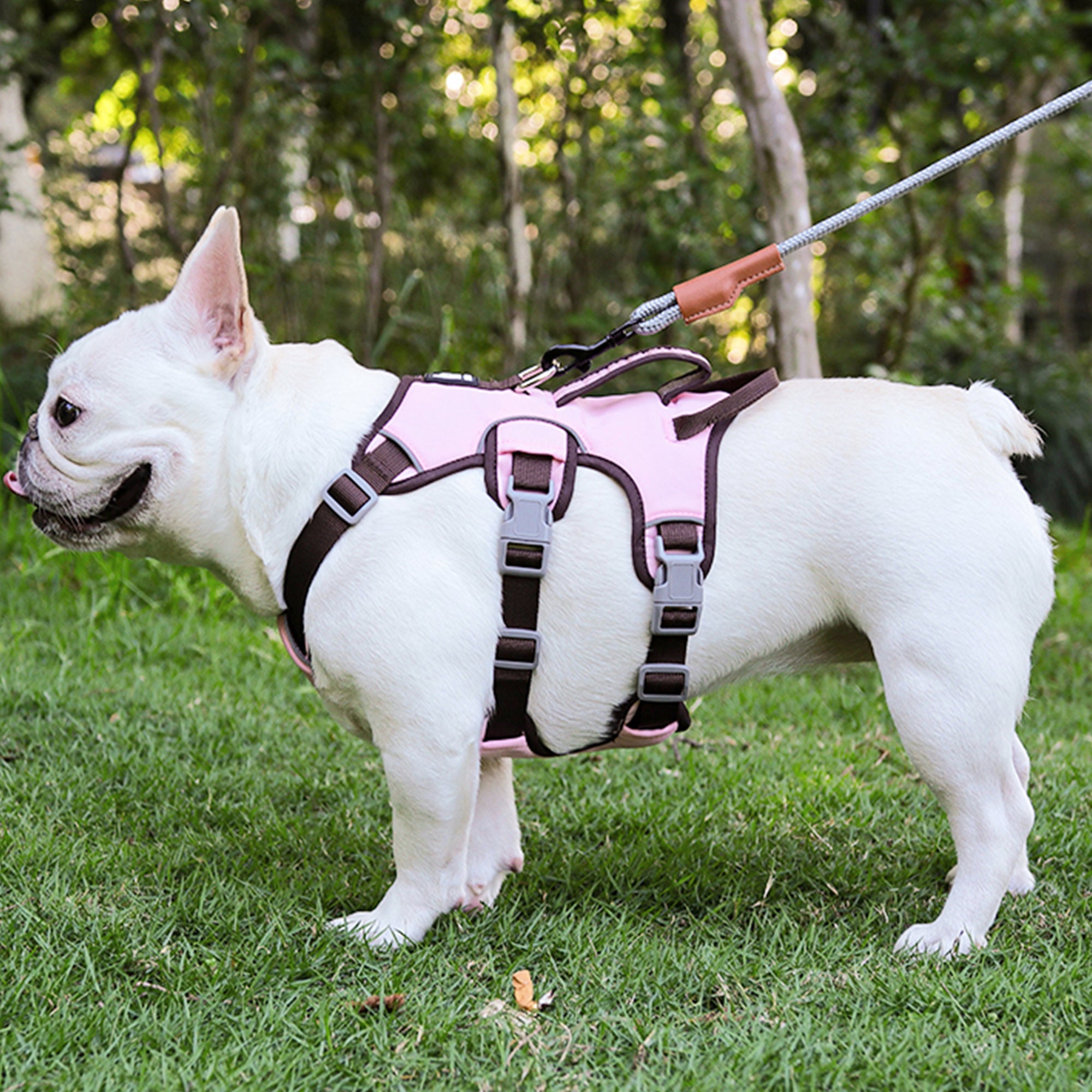 Anti-Escape Three-Piece Dog Chest and Back Harness