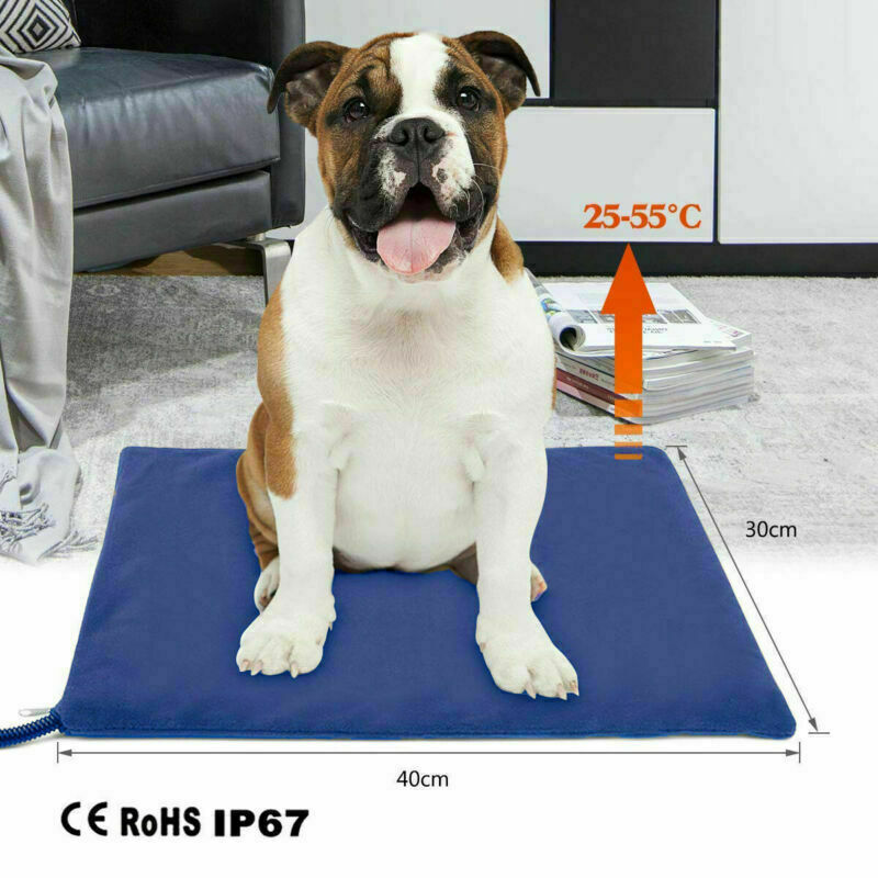Winter Pet Bed