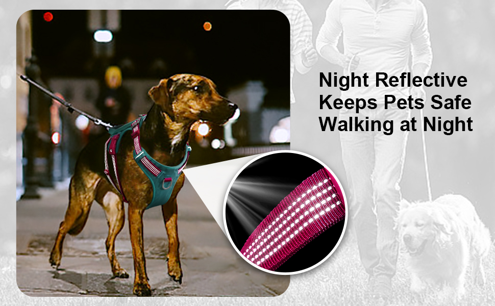 TACTICAL  DOG HARNESS