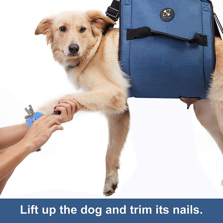 Pet Rehabilitation Dog Lifting Harness Help Pets Stand Up