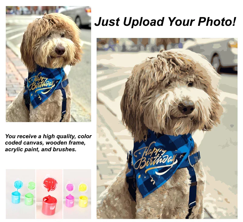 Customized Pet Paint by Numbers, Not Just For Pet Pictures