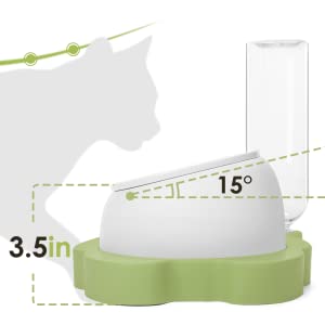 15° Tilted Elevated Bowl