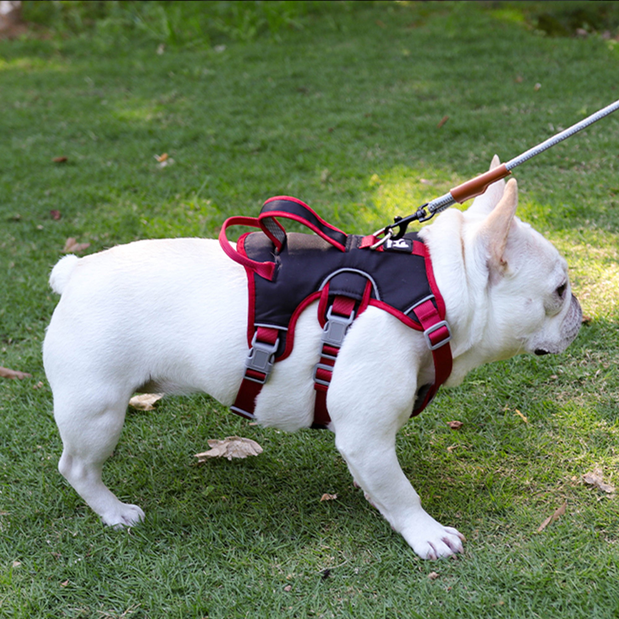Anti-Escape Three-Piece Dog Chest and Back Harness