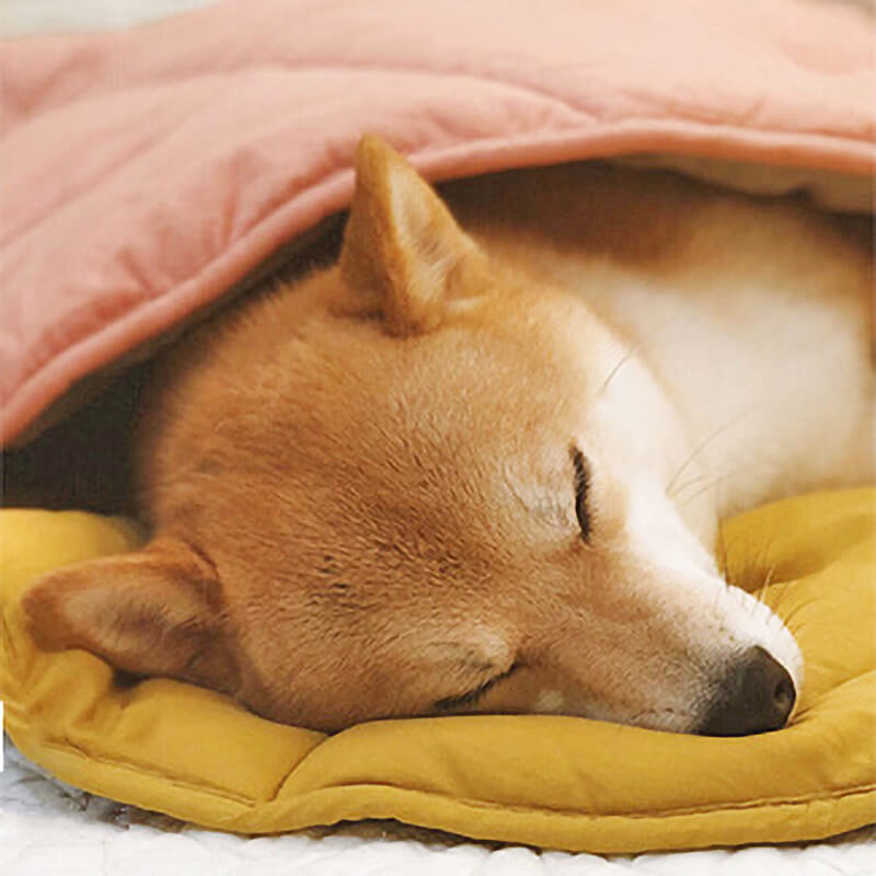 Leaf Shape Dog Blanket Washable Dog Mat