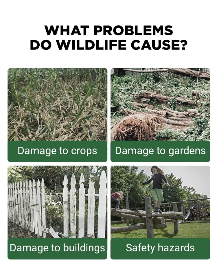 Beast Repellent Solar Warning Lights with Loud Volume