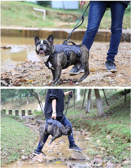 Escape Proof Dog Harness and Leash Set No Pull Adjustable Reflective Dog Vest with Padded Lift Handle