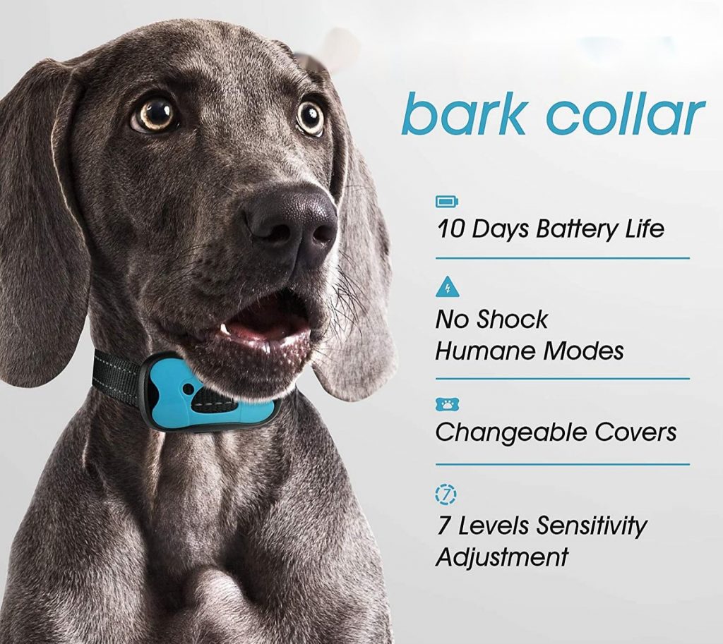 Dog Bark No-Shock Collar