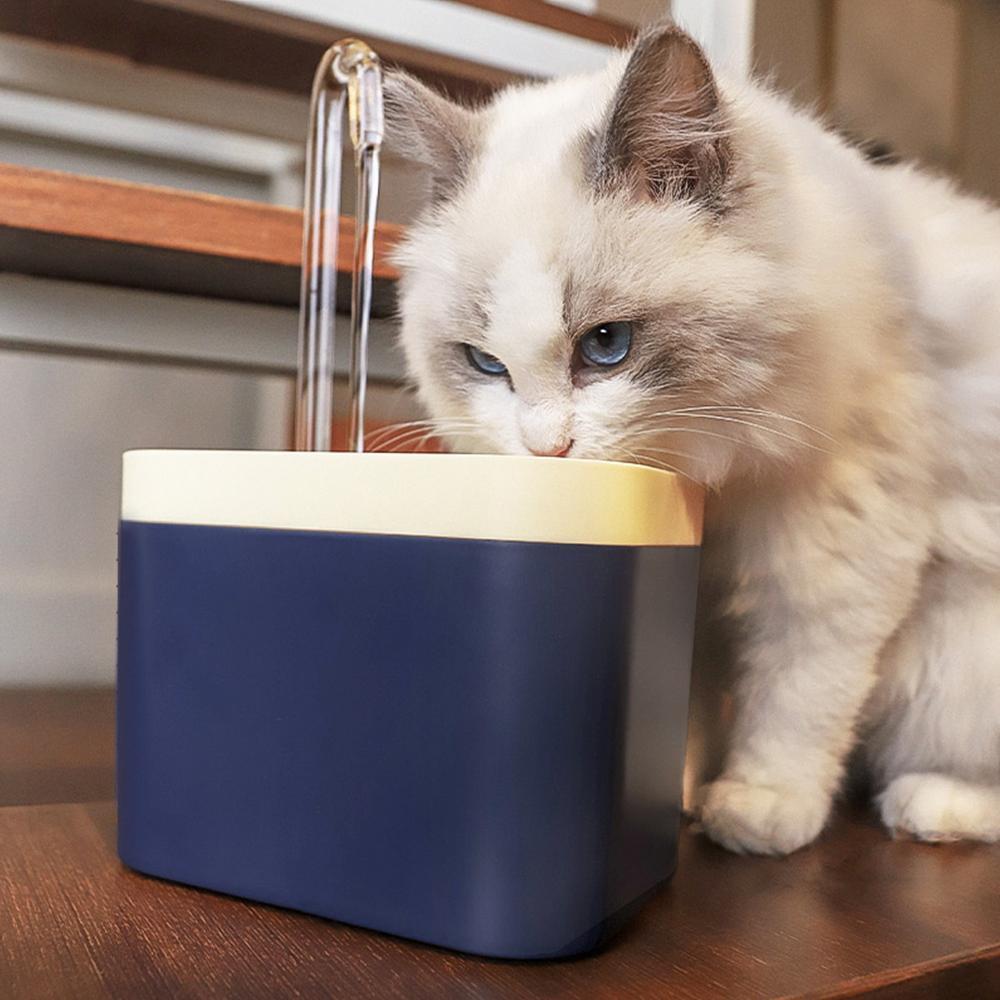 Filtered Water Fountain for Cats