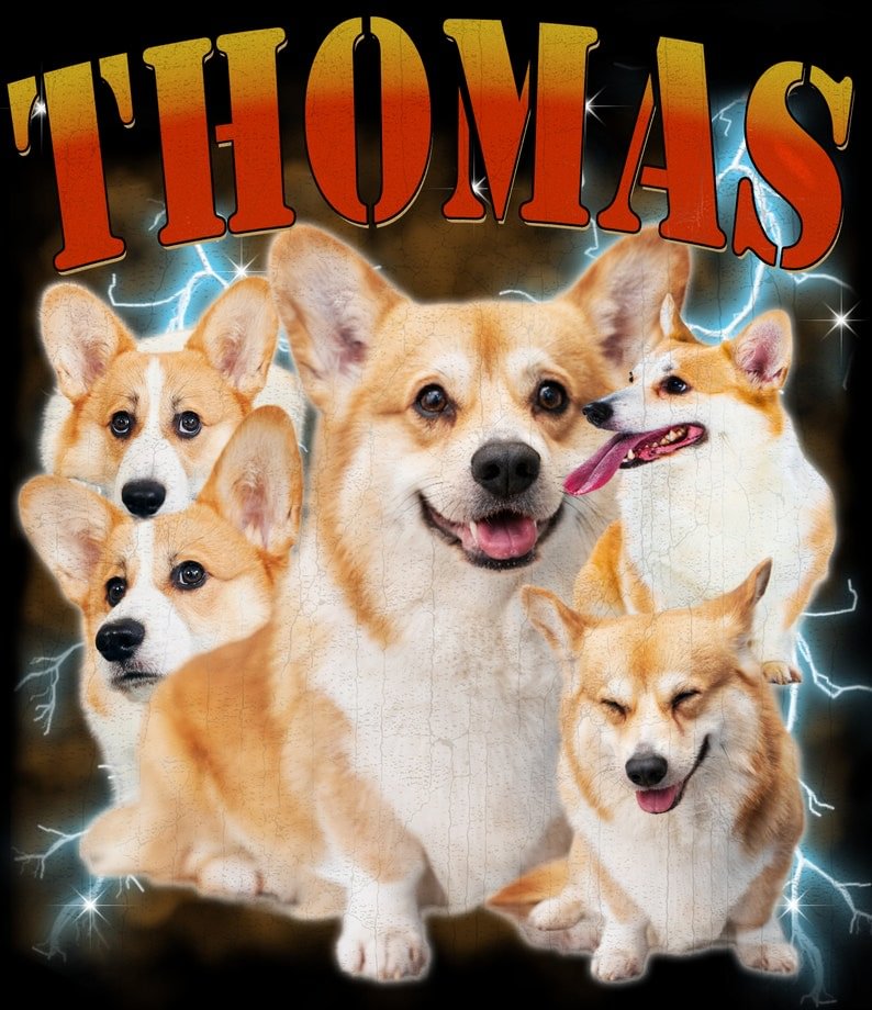 Custom Printing Vintage Hip Hop Vintage Pet Sweatshirt