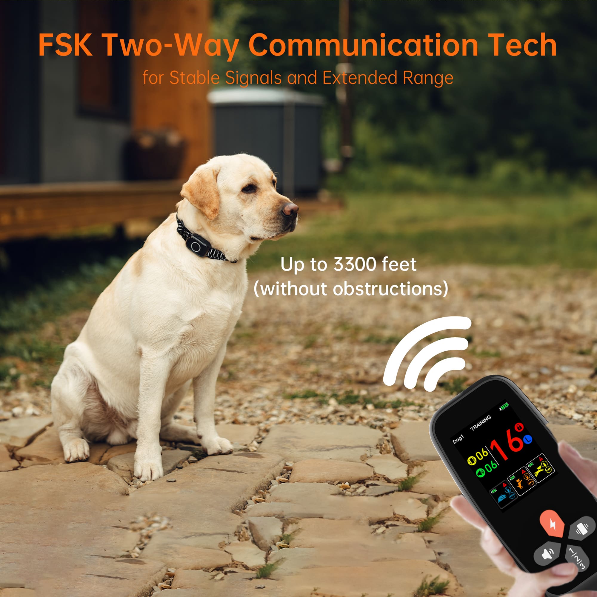 4-in-1 Remote Dog Training Collar T800Plus