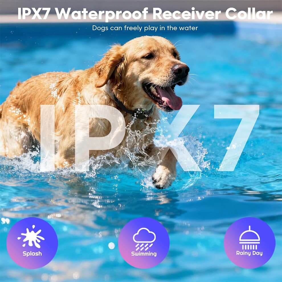 Wireless Dog Fence for Multiple Dogs - Smart Collar