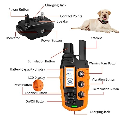 Electric Waterproof & Rechargeable with Remote Control Dog Training Collar