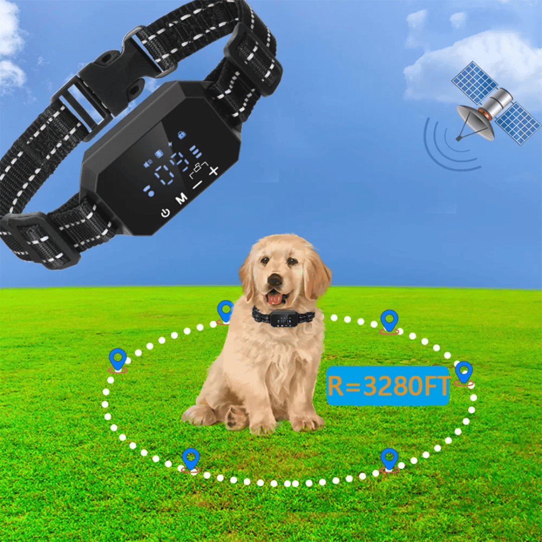 1000m GPS Wireless Dog Fence Containment System