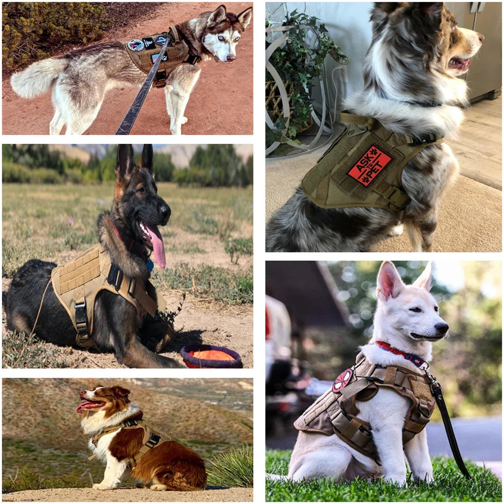 Tactical Dog Harness with Handle - Durable, Adjustable, Leash Set