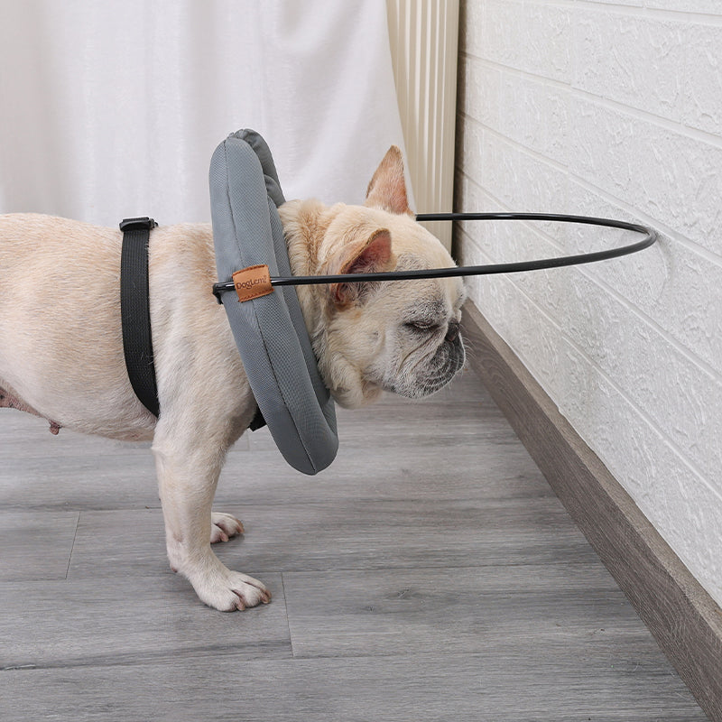 Pet Halo Collar Harness – Safe Navigation for Blind Dogs