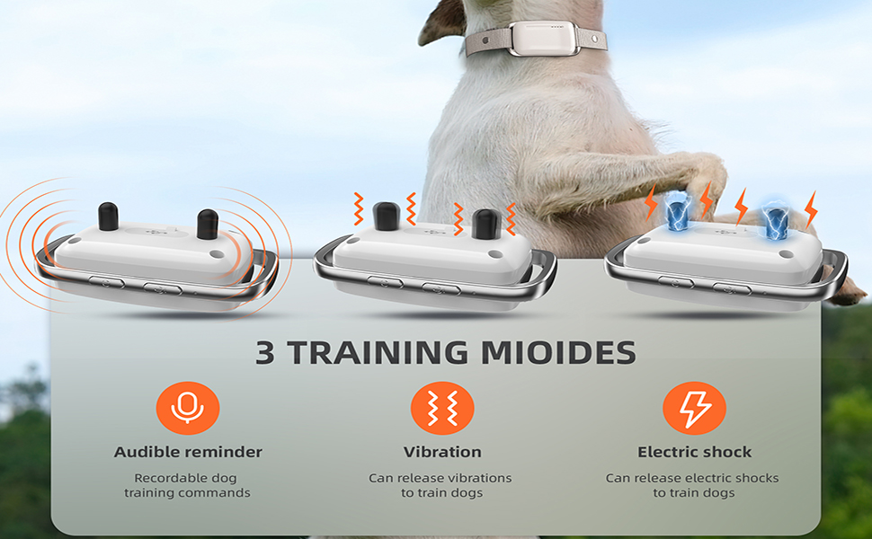 Remote Dog Training Collar