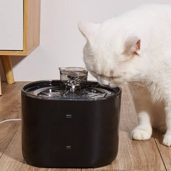 Cat Drinking Fountain with Waterflow Filter