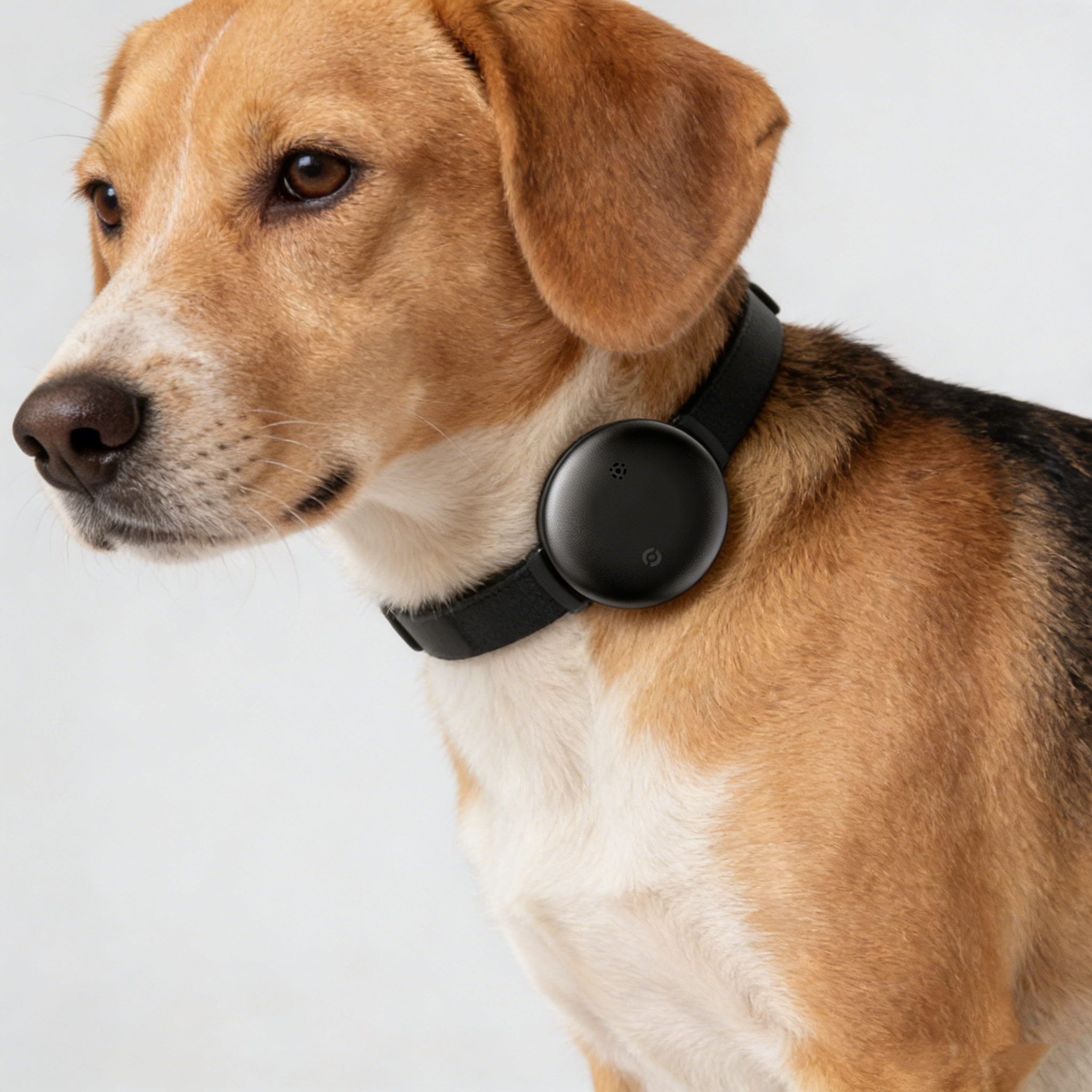 Pet GPS Tracker - Not Just a GPS Car Tracker. Your Everything Finder.