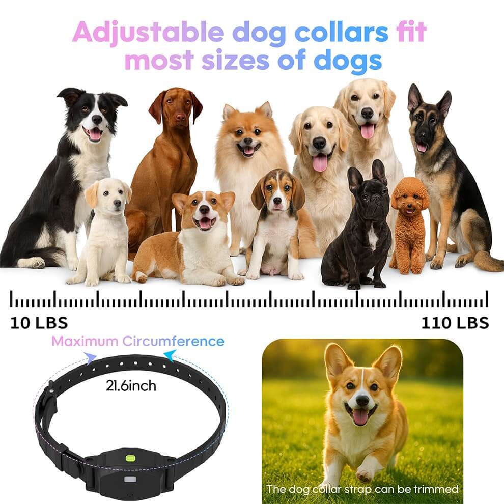 Wireless Dog Fence for Multiple Dogs - Smart Collar