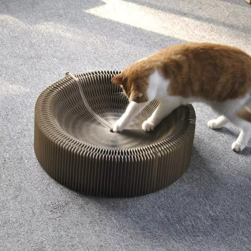 2-in-1 Play And Scratching Bed For Cats