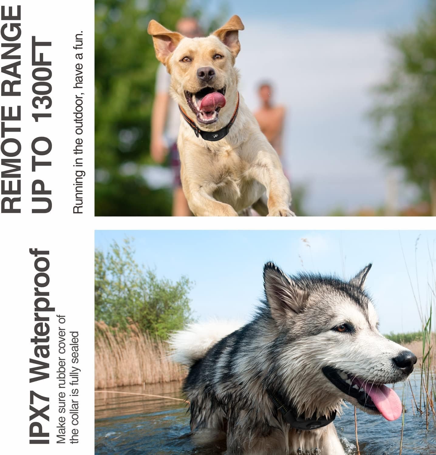 Dog Training Collar  - Remote Control - Anti-Bark