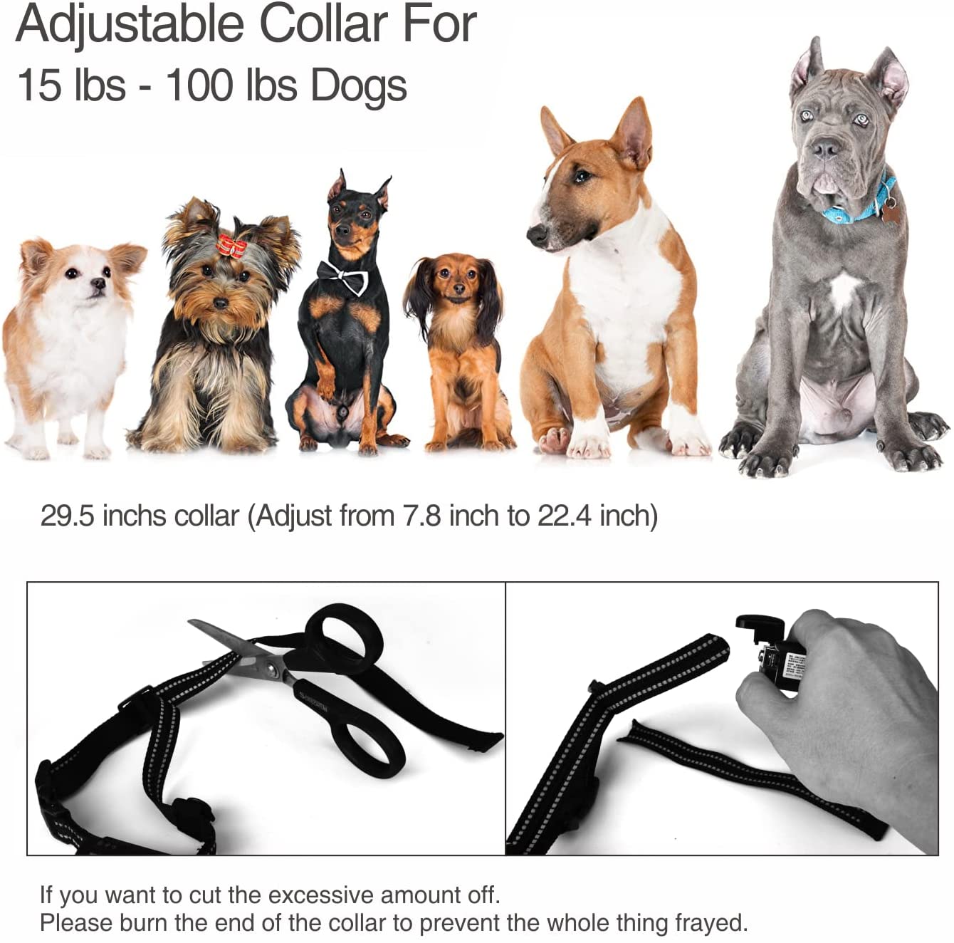 Dog Training Collar  - Remote Control - Anti-Bark
