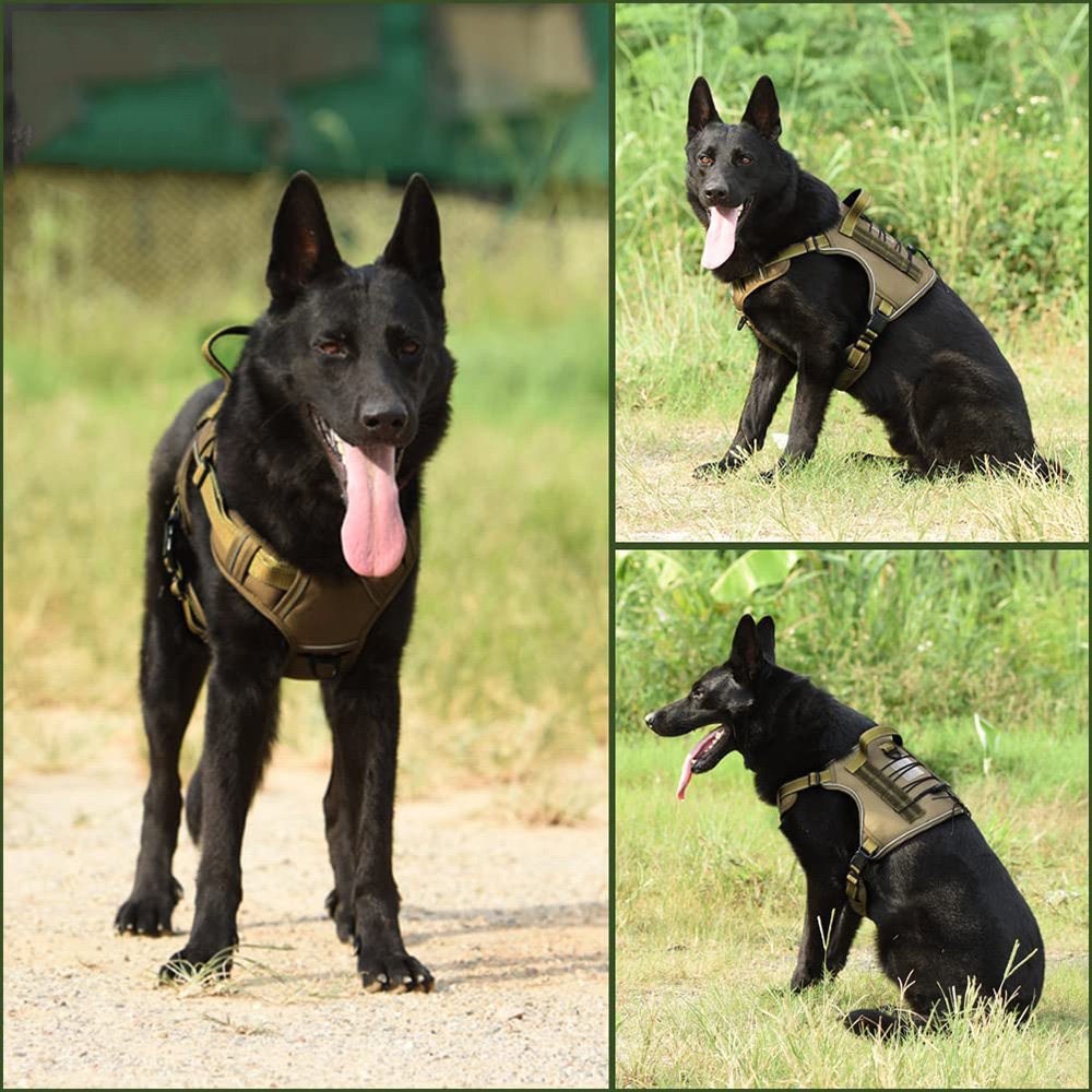 Military No Pull Tactical Dog Harness Vest
