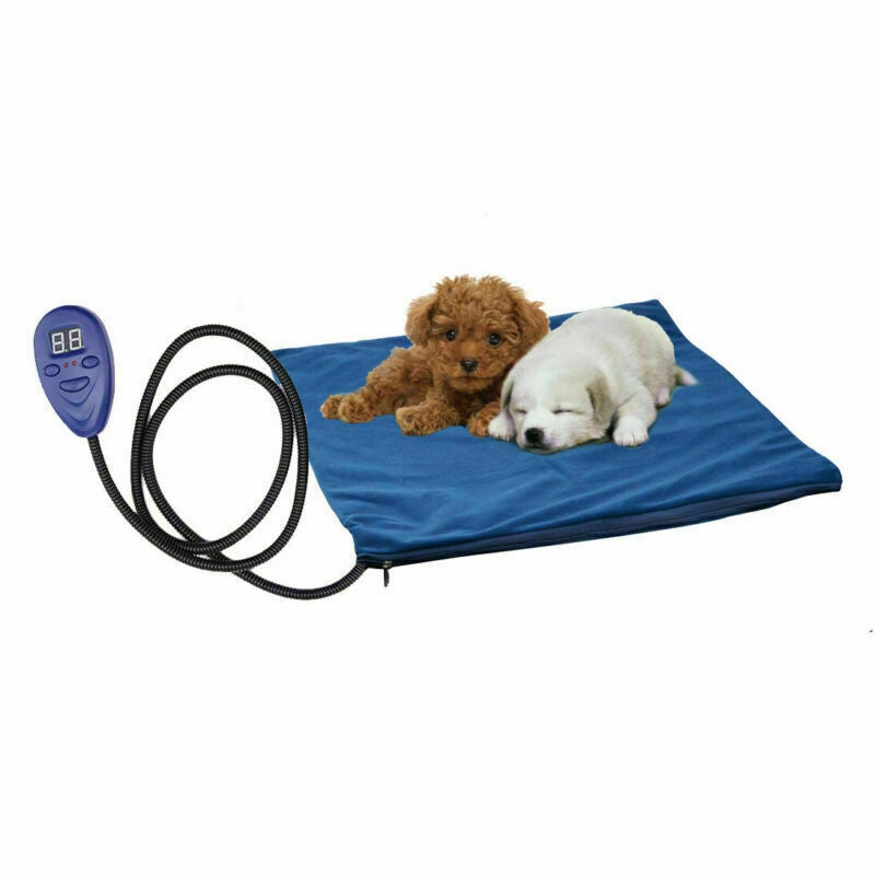 Winter Pet Bed