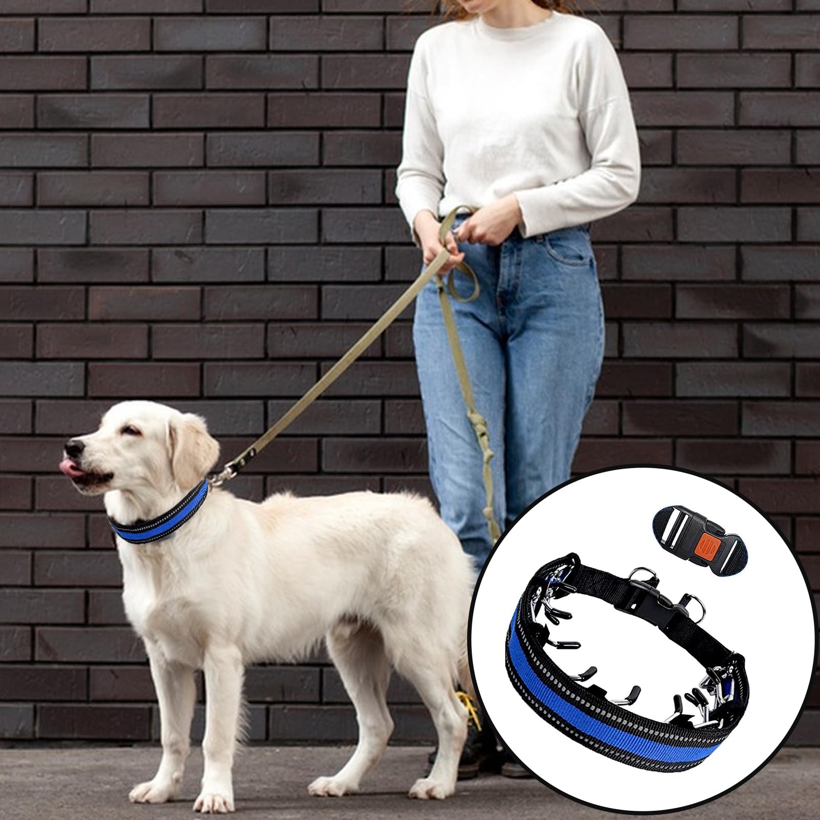 No Pull Dog Collar Dog Pinch Collarwith Quick Release Buckle