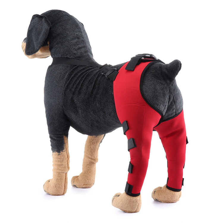 Double Dog Hip Support For Hip Dysplasia For Back Leg Dog Brace With Safety Reflective Straps