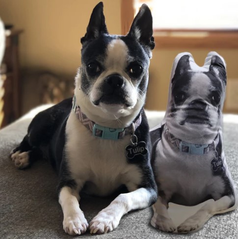 Custom Dog Pillow, Custom Pet Pillow Personalized Pet Body Pillows