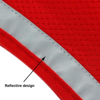 Reflective Cat & Kitten Harness And Leash Set