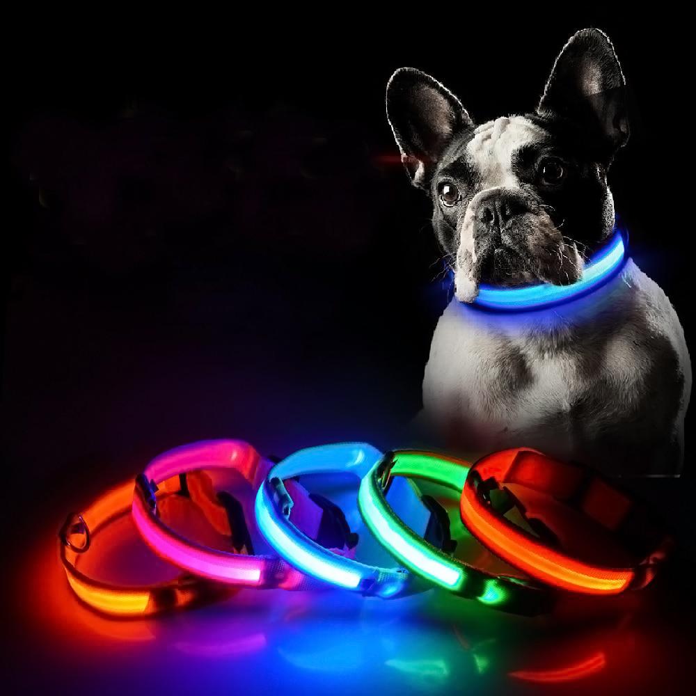 Dog Glow In The Dark Collar