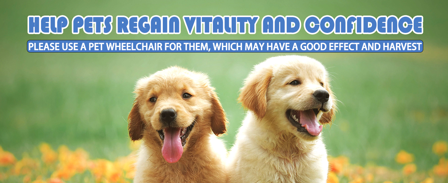 help pets regain