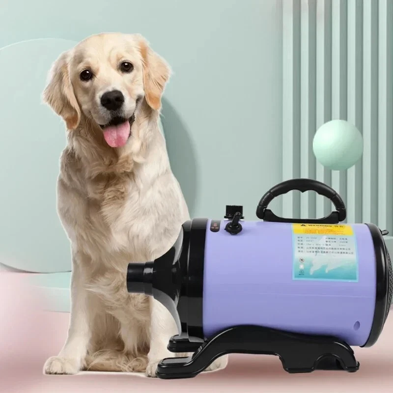 High Power Dryer - 2025 Best Wet Dry Vacuum For Pet Hair
