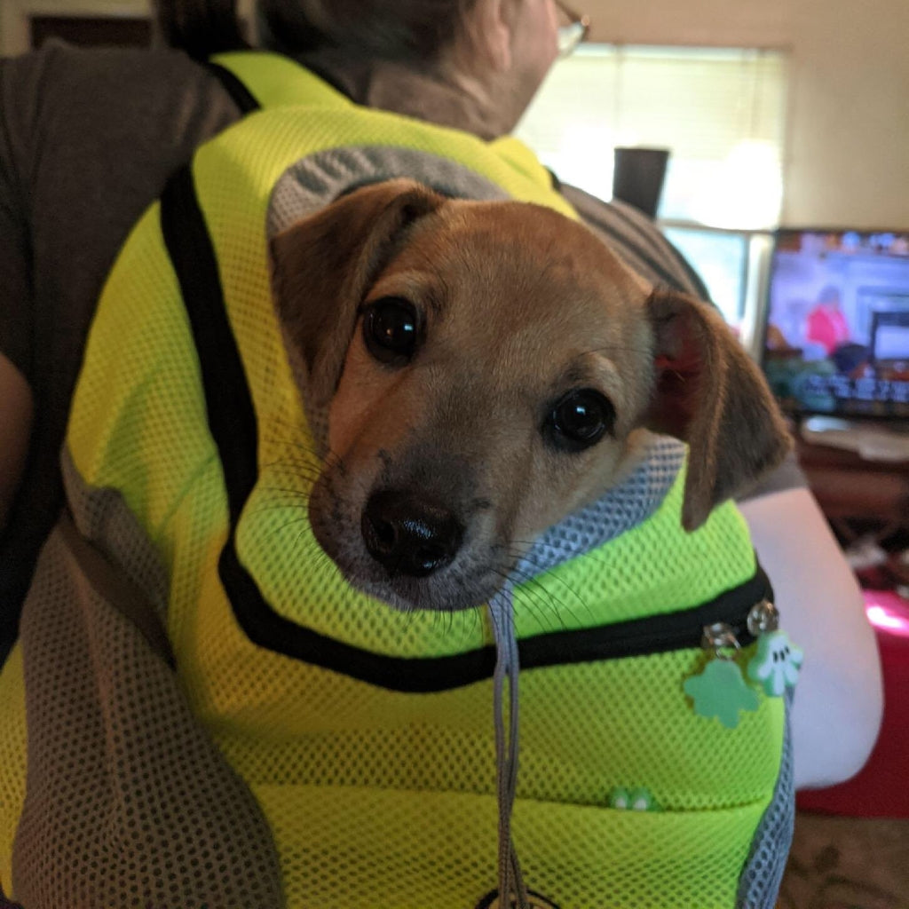 The Puppy Pack - Dog Carrier Backpack