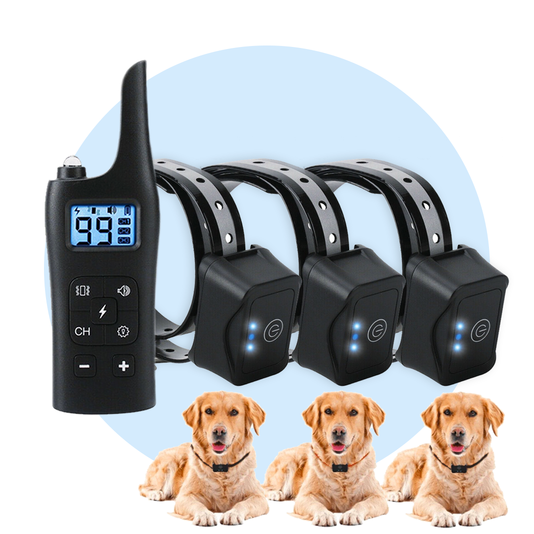 Pet Smart Dog Training Collar with Remote