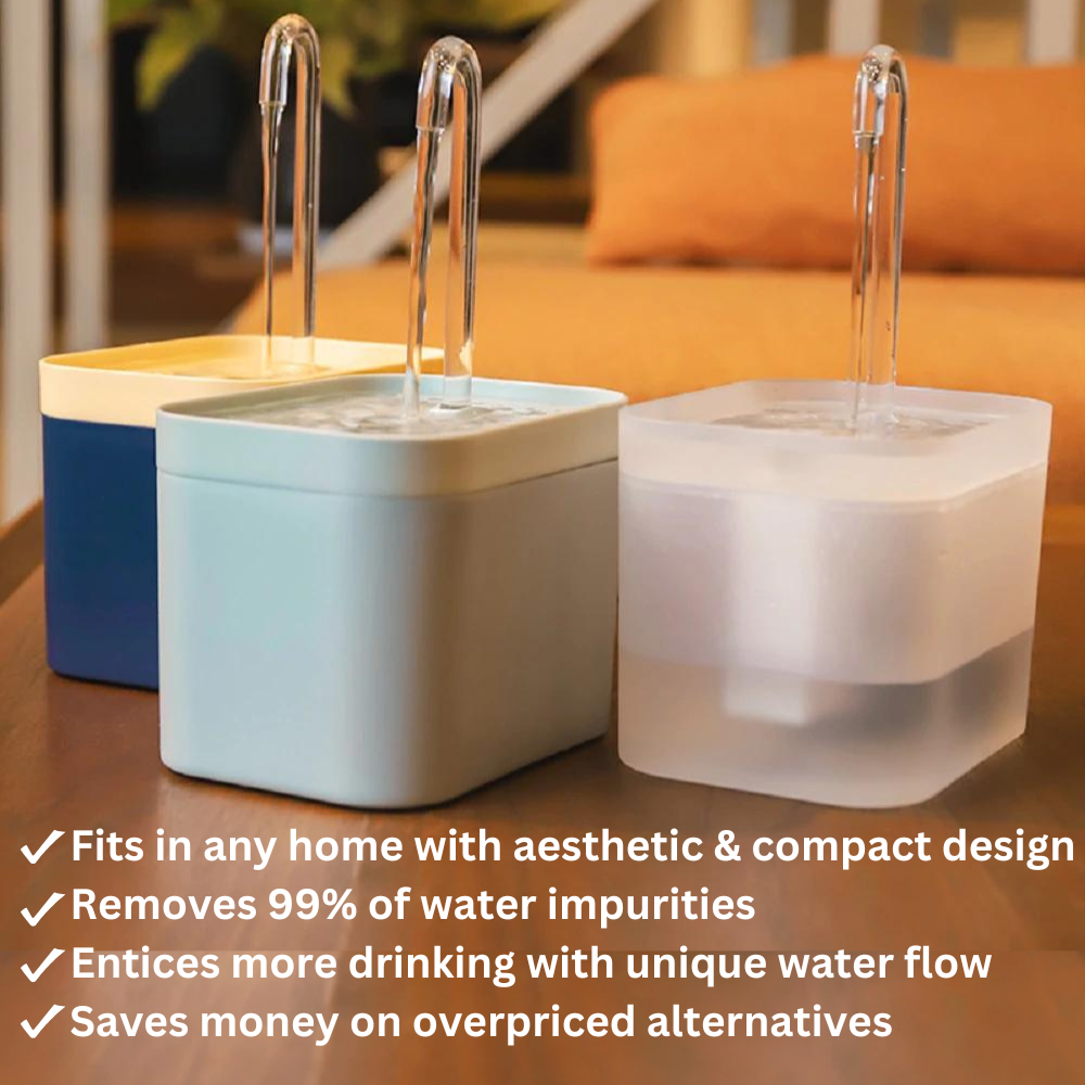Filtered Water Fountain for Cats