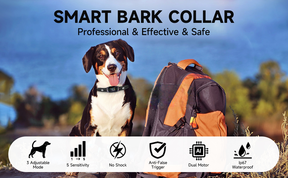 bark collar