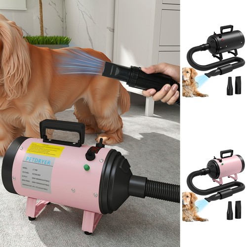 High Power Dryer - 2025 Best Wet Dry Vacuum For Pet Hair